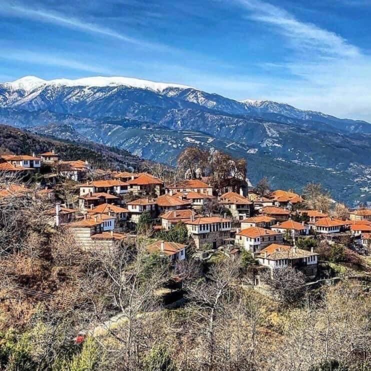 Ξενώνας Τ'Αρχοντικό Palaios Panteleimonas Luaran gambar